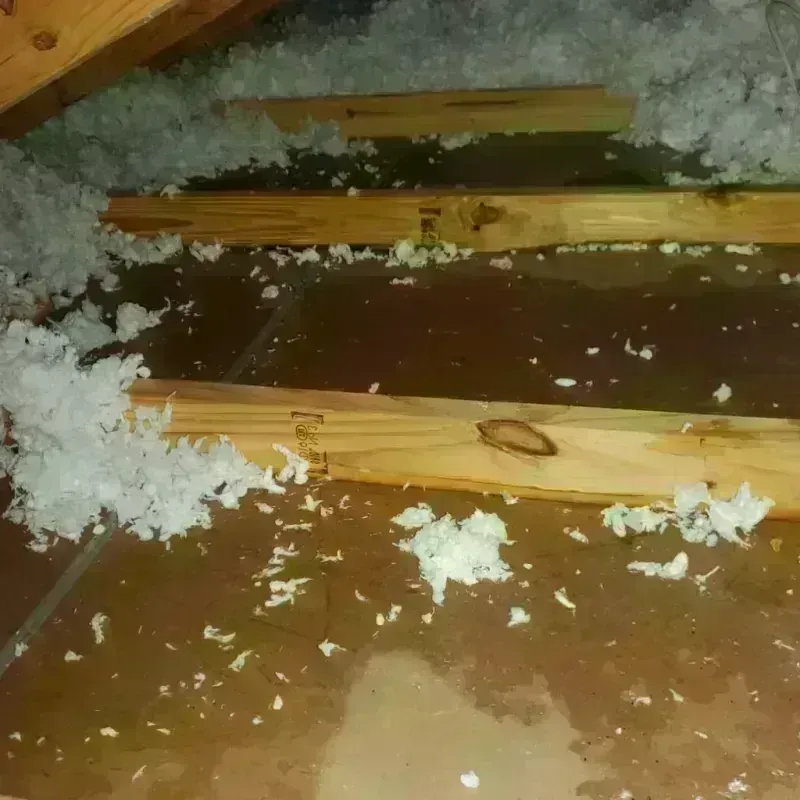 Attic Water Damage in Red Corral, CA